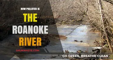 Roanoke River Pollution: A Troubling Reality Check