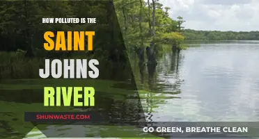 The St. Johns River: A Polluted Paradise?