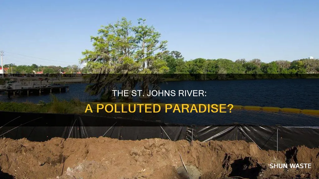 how polluted is the saint johns river
