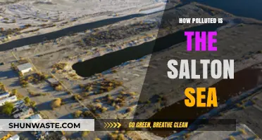 Salton Sea's Pollution Crisis: A Troubling Overview