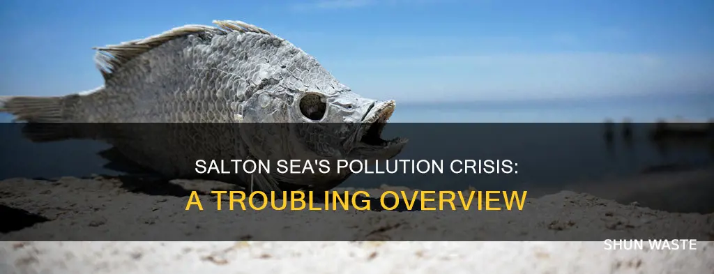 how polluted is the salton sea