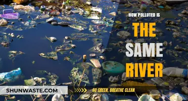 The River's Pollution Problem: How Bad Is It?