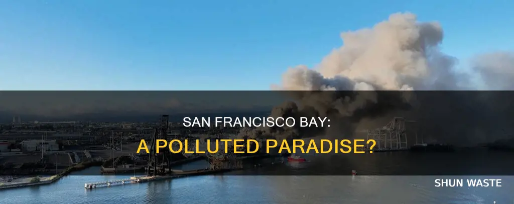 how polluted is the san francisco bay