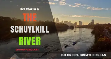 The Schuylkill River: A Polluted Paradise?