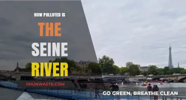 The Seine's Pollution Problem: A Troubled Parisian Landmark