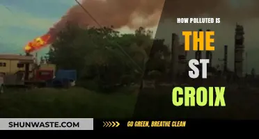 St. Croix's Pollution Crisis: A Troubled River