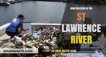 St. Lawrence River: A Polluted Paradise?
