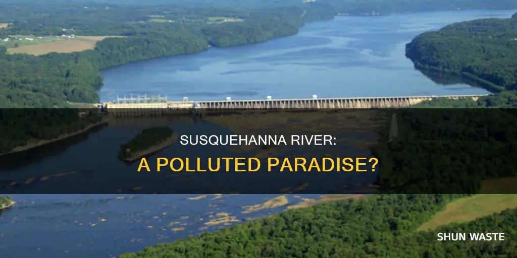 how polluted is the susquehanna river