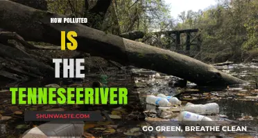 The Tennessee River: A Polluted Paradise?
