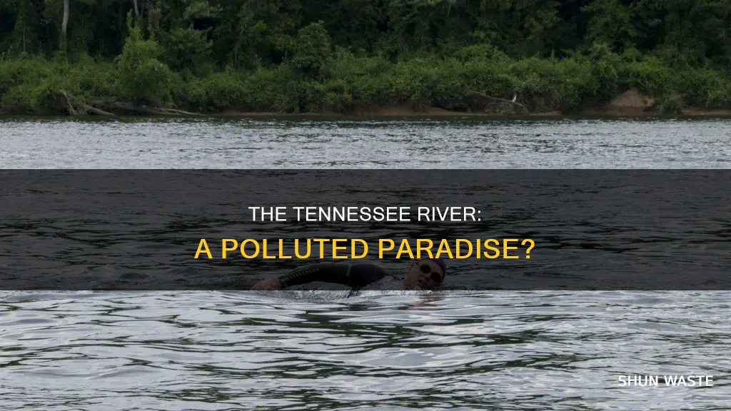 how polluted is the tenneseeriver