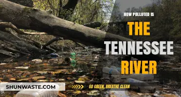 The Tennessee River: A Polluted Paradise?
