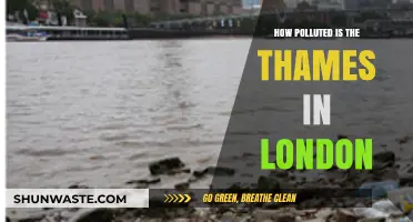London's Thames: A Polluted Legacy?