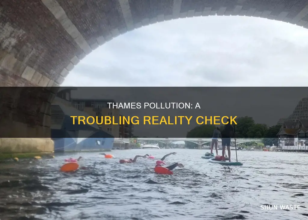 how polluted is the thames