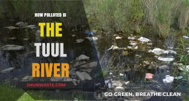 Tuul River Pollution: A Critical Analysis