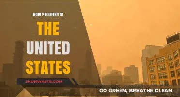 The US Pollution Problem: A Comprehensive Overview