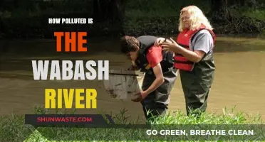 The Wabash River: A Polluted Paradise?