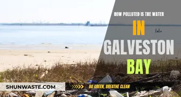 Galveston Bay's Water Quality: A Deep Dive into Pollution Concerns