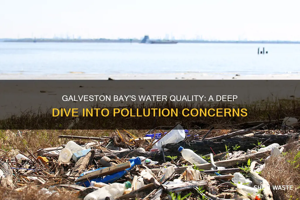 how polluted is the water in galveston bay