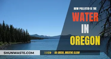 Oregon's Water Quality: A Deep Dive into Pollution Concerns