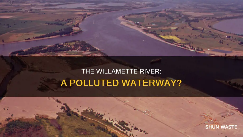 how polluted is the willamette river