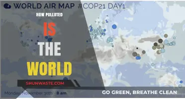The World's Pollution Crisis: A Global Concern