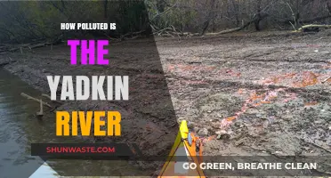 Yadkin River's Pollution: A Comprehensive Overview