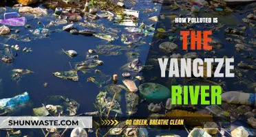 Yangtze River Pollution: A Critical Overview