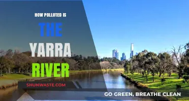 The Yarra River's Pollution Problem