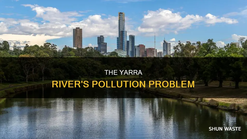 how polluted is the yarra river