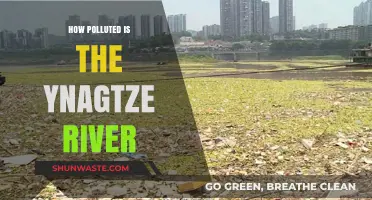 The Yangtze's Pollution Crisis: A Troubled River's Tale