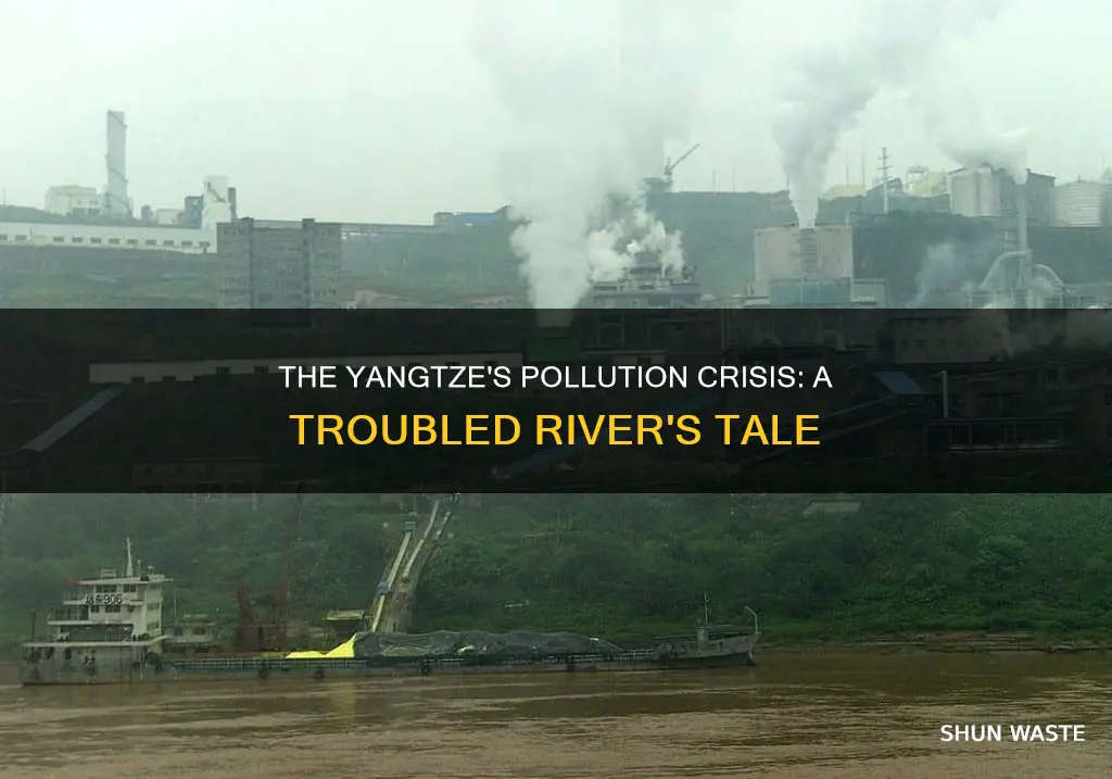 how polluted is the ynagtze river