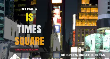 The Pollution Problem in Times Square