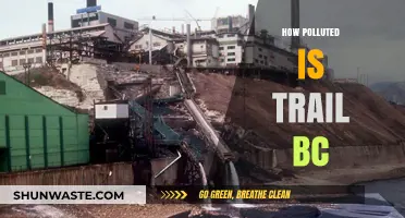 The Air Quality Crisis in Trail, BC