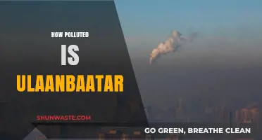 Ulaanbaatar's Pollution Problem: A City Choking on Smog