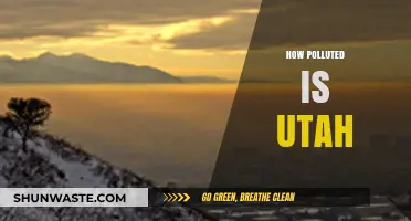Utah's Pollution Problem: A Troubling Reality