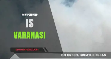 Varanasi's Pollution: A City's Battle for Breath