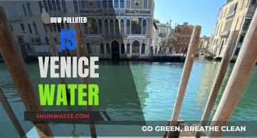 Venice's Water Crisis: A Deep Dive into Pollution Concerns