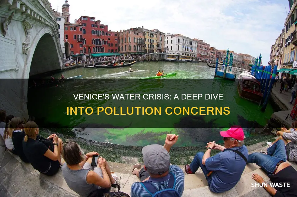 how polluted is venice water