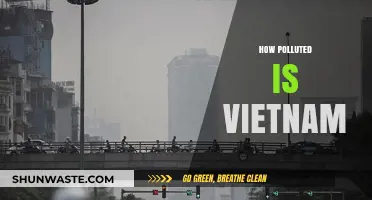 Vietnam's Pollution Crisis: A Comprehensive Overview
