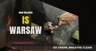 Warsaw's Pollution Problem: A Comprehensive Overview