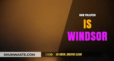 Windsor's Pollution Problem: A Comprehensive Overview