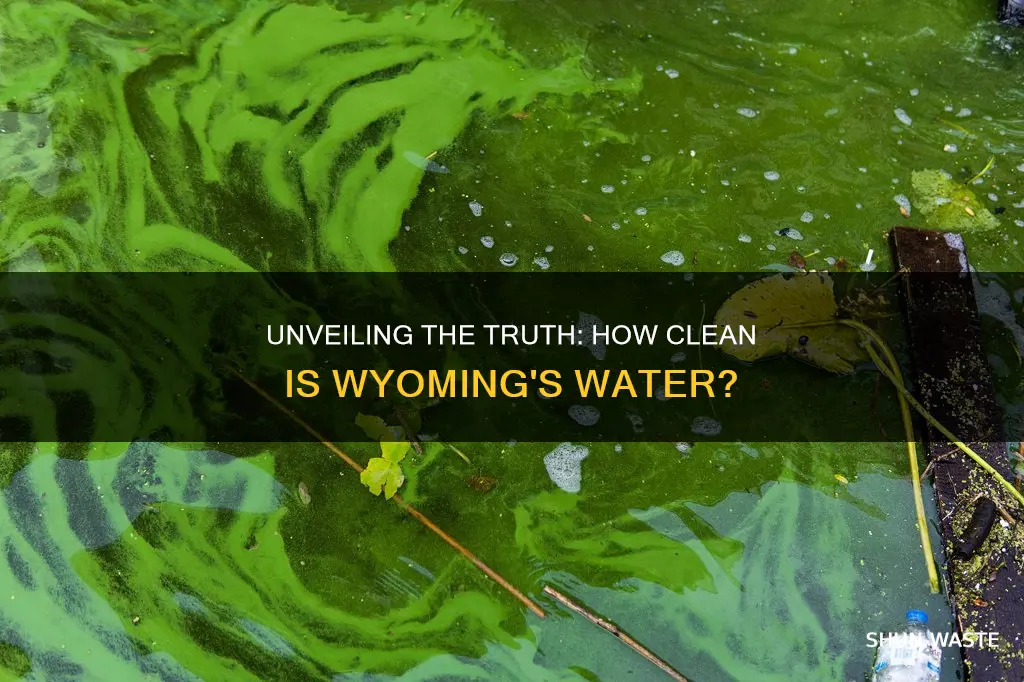 how polluted is wy water