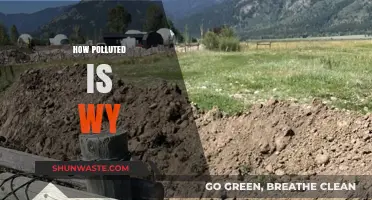 Wyoming's Pollution Problem: A Comprehensive Overview