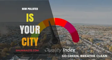 Air Quality Alert: Is Your City Polluted?