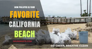 California's Beach Pollution: Your Favorite Spots Exposed