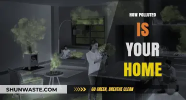 The Home Pollution Problem: How Toxic is Your Space?
