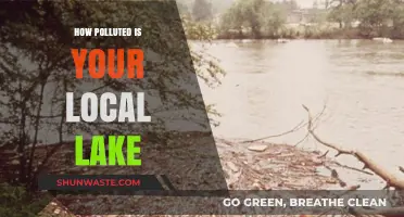 Local Lakes: Polluted and Unnoticed