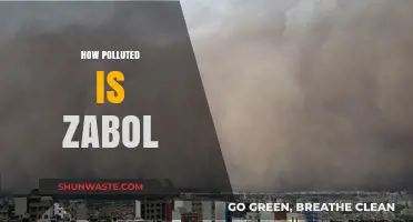 Zabol's Pollution Crisis: A Dire Situation