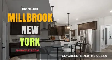 Millbrook, New York: A Polluted Paradise