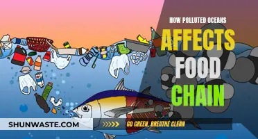 Ocean Pollution's Impact: A Food Chain Crisis